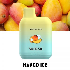 Vapeak Grand 5000 Puffs Disposable Vape Wholesale Mango Ice