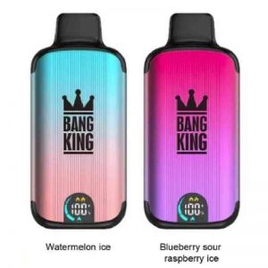 Bang King 18000 Puffs Disposable Vape Wholesale Watermelon Ice Blueberry Sour Raspberry Ice