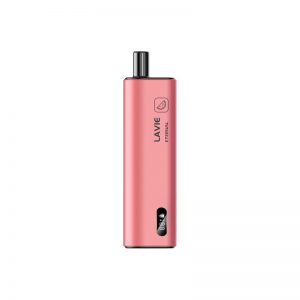 Lavie Eternal 10000 Puffs Disposable Vape Wholesale Watermelon Ice