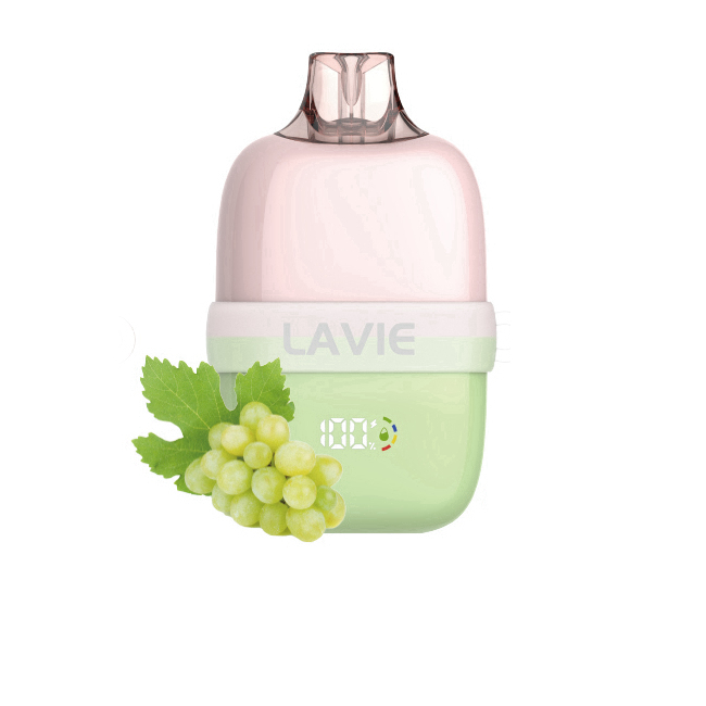 Lavie Insider 12000 Puffs Disposable Vape Wholesale homepage