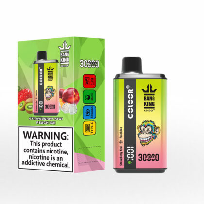 Bang King Coloor 30000 Puffs Disposable Vape Wholesale (11)